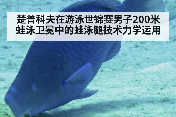 楚普科夫在游泳世锦赛男子200米蛙泳卫冕中的蛙泳腿技术力学运用（jiuyou）